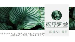 3-000136 绿色小清新PPT模板