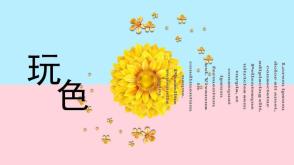 3-000141   太阳花小清新PPT模板