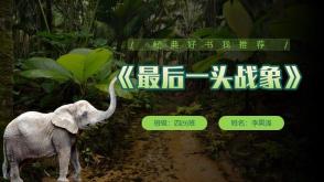 2023.11.15     罗代做     《最后一头战象》