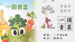 2023.12.17   代做绘本故事菜园子