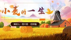 4月6日   四六班    任梓福   《小麦的一生》