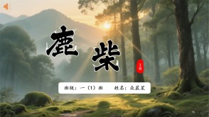 2-000091   古诗《鹿柴》 PPT 