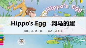 11-000028   英语绘本故事《河马的蛋》
