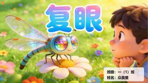 9-000170   三年级   《复眼》