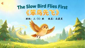 11-000063   英语演讲    《笨鸟先飞》